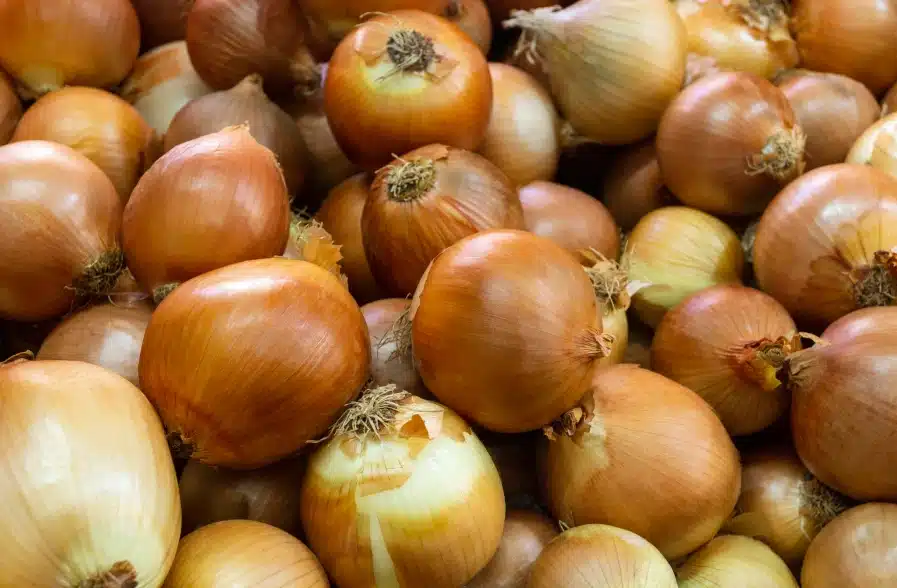 Dehydrated Onions: Dehydrated Onion Suppliers